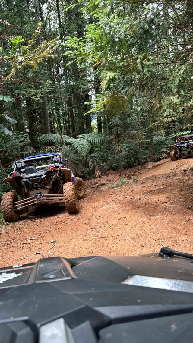 UTVs em trilha de terra cercada por vegetação densa.