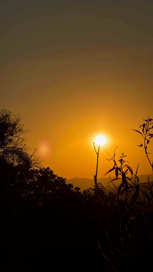 Sol baixo entre árvores durante a experiência na serra.