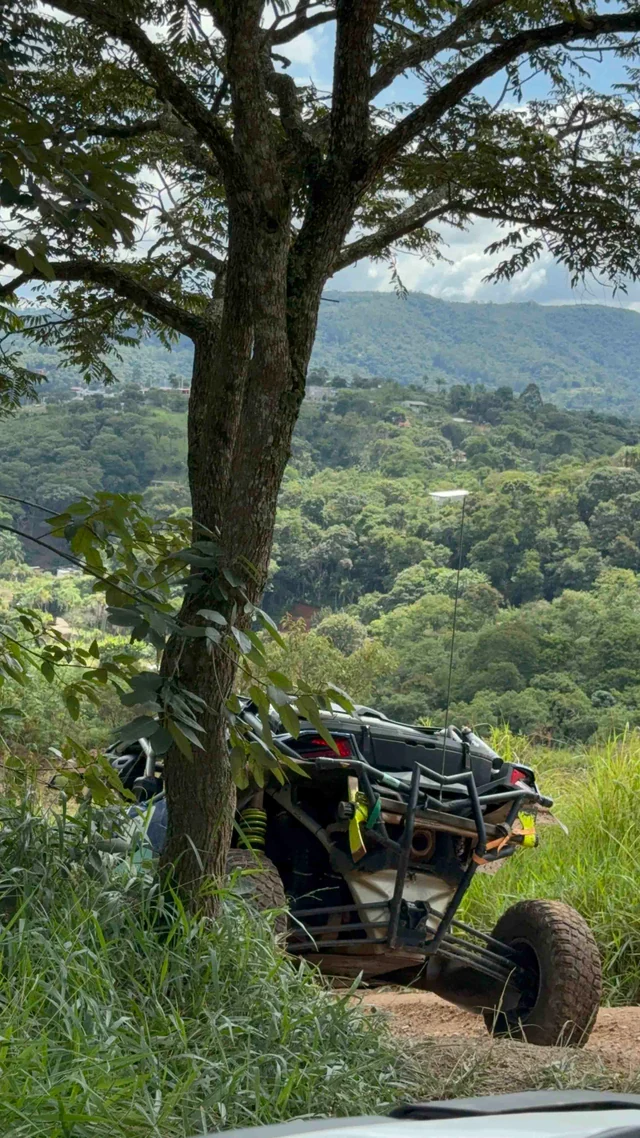 UTV parado próximo a uma árvore com paisagem verde ao fundo.