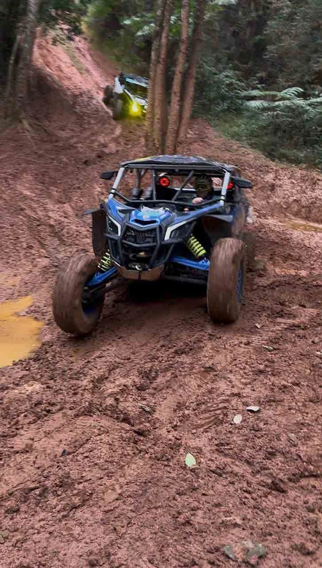 UTV avançando por trilha de lama entre árvores.
